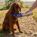 Dog Mate 800ml Isolierte Edelstahl-Wasserflasche
