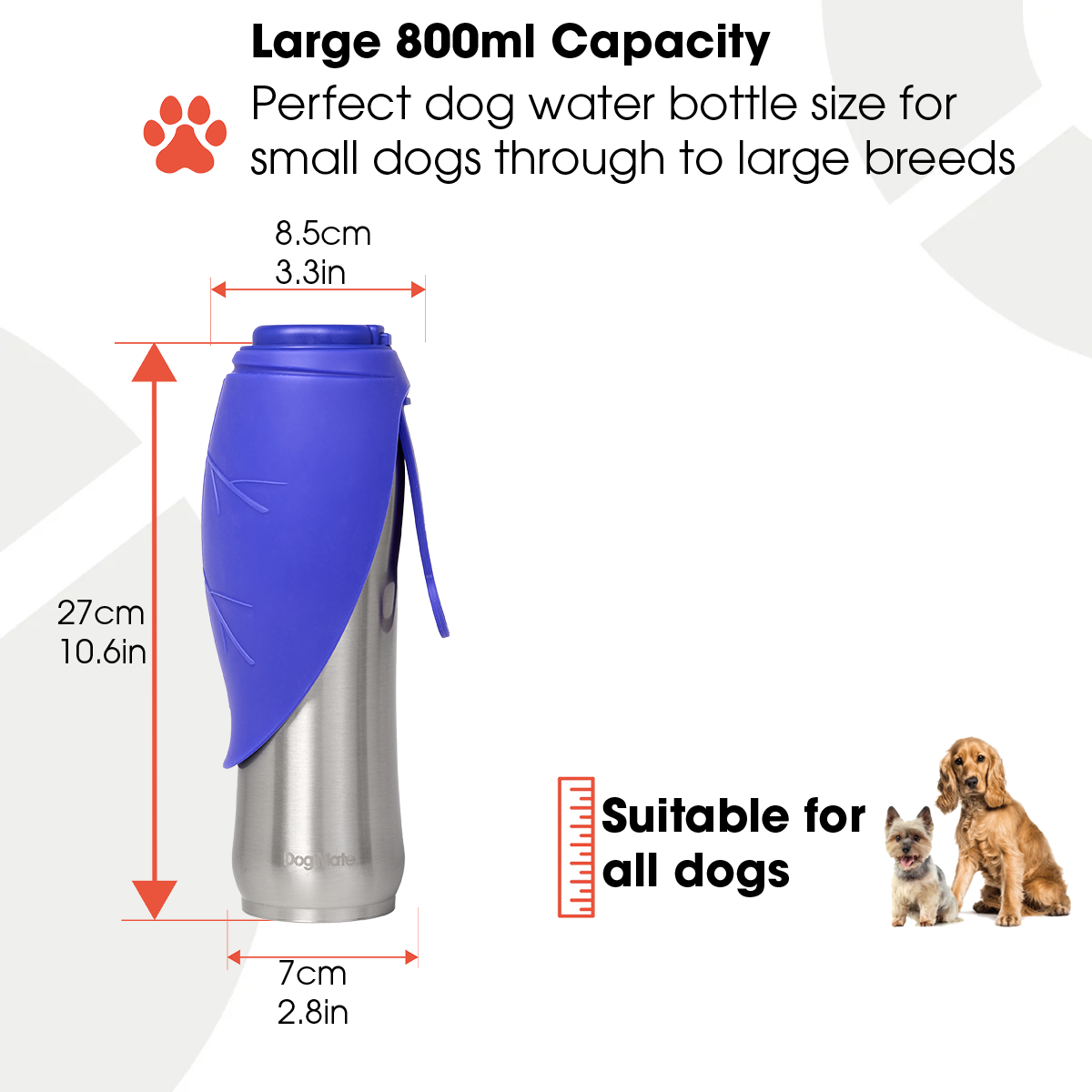 Dog Mate 800ml Isolierte Edelstahl-Wasserflasche