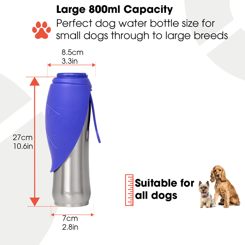 Dog Mate 800ml Isolierte Edelstahl-Wasserflasche