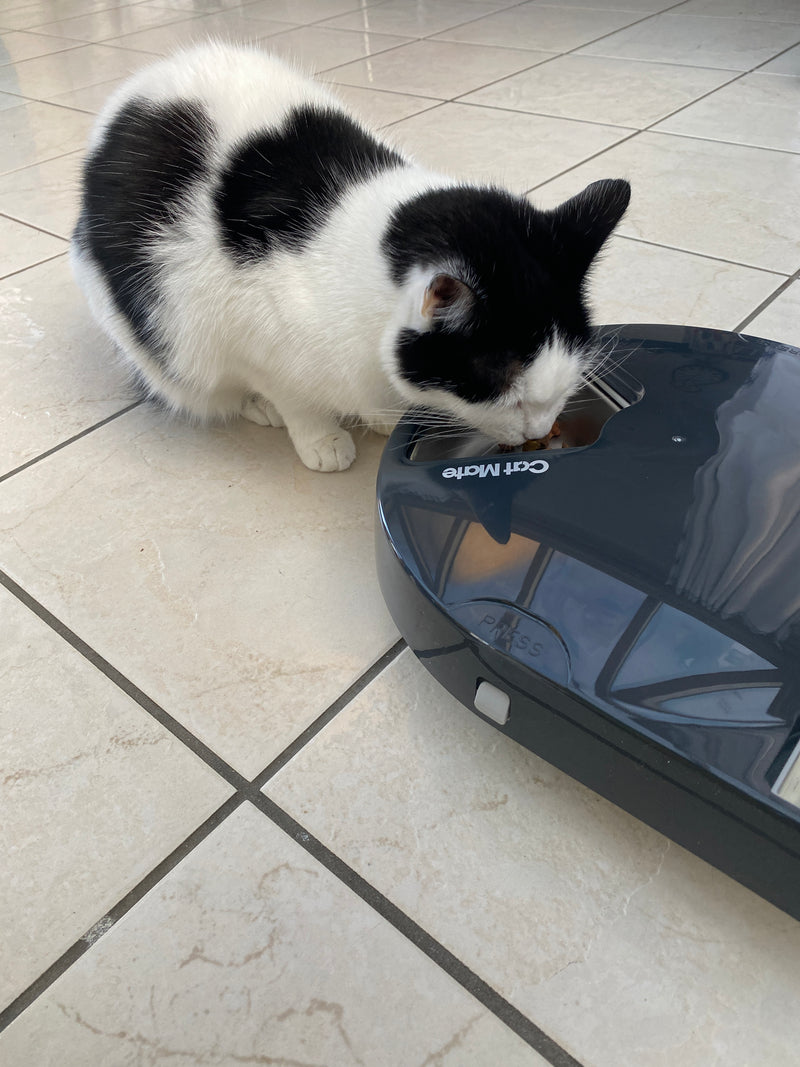 Cat Mate 5-Mahlzeiten-Futterautomat mit Edelstahlnapf-Einsätzen (C500) – Grau