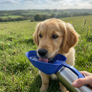 Dog Mate 800ml Isolierte Edelstahl-Wasserflasche
